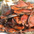 Maryland blue crabs